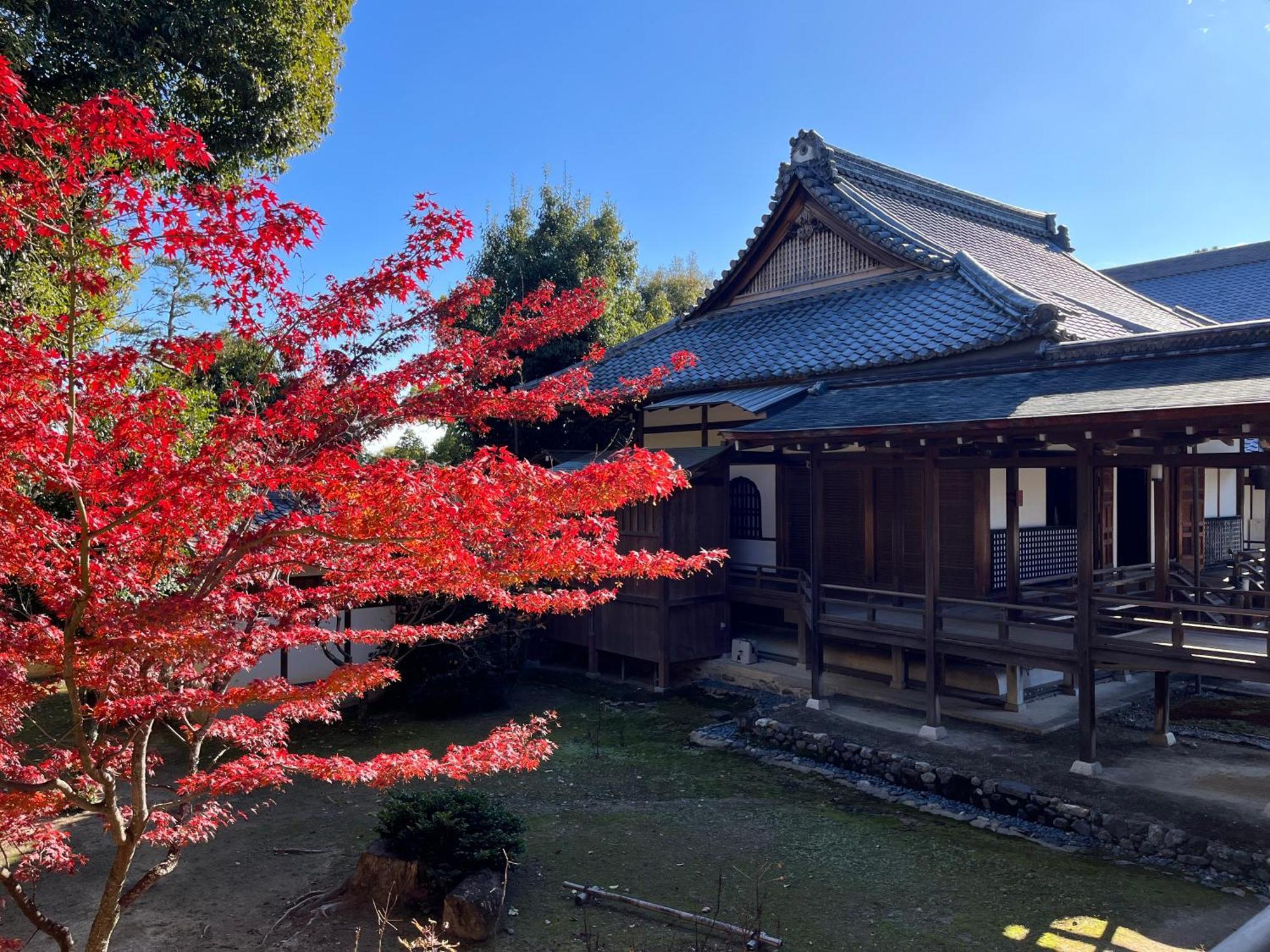 嵐山 天龍の宿 駐車無料 一棟貸切 最大5人 Dragon Legend Arashiyama Central Private Rare Modern Villa Free Parking Max 5Ppl Shimo-saga Dış mekan fotoğraf